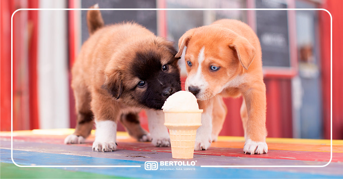 Conheças as principais tendências para sorveteria, e como utilizá-las tendências para sorveteria